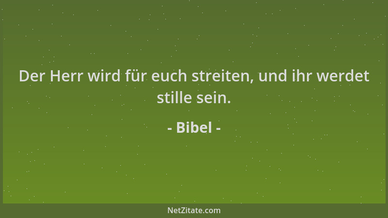Bibel - Der Herr wird für euch streiten, und ihr werdet stille sein....