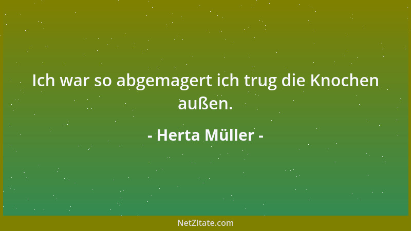 Herta Müller - Ich war so abgemagert ich trug die Knochen außen....