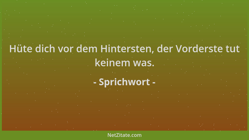 Sprichwort - Hüte dich vor dem Hintersten, der Vorderste tut keinem was....