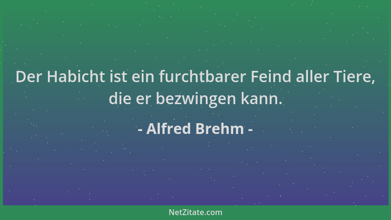 Alfred Brehm - Der Habicht ist ein furchtbarer Feind aller Tiere, die er bezwingen kann....