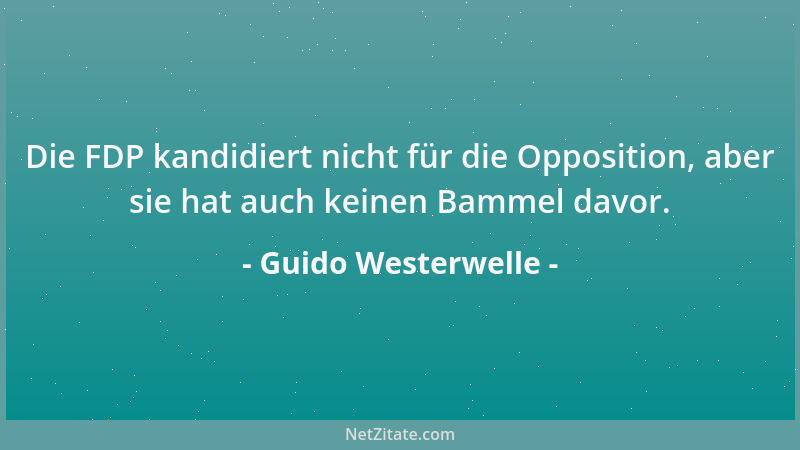 Guido Westerwelle - Die FDP kandidiert nicht für die Opposition, aber sie hat auch keinen Bammel davor....