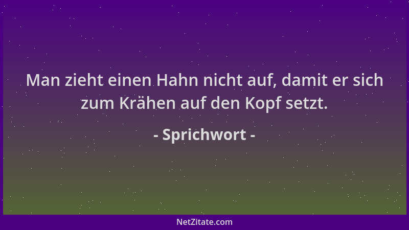 Sprichwort - Man zieht einen Hahn nicht auf, damit er sich zum Krähen auf den Kopf setzt....