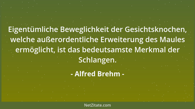 Alfred Brehm - Alle angehenden Angler haben an dem Barsche ihre wahre Freude, weil er es ist, welcher auch ihre Ungeschickl...