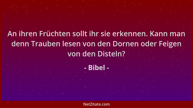 Bibel - An ihren Früchten sollt ihr sie erkennen. Kann man denn Trauben lesen von den Dornen oder Feigen von den Disteln?...