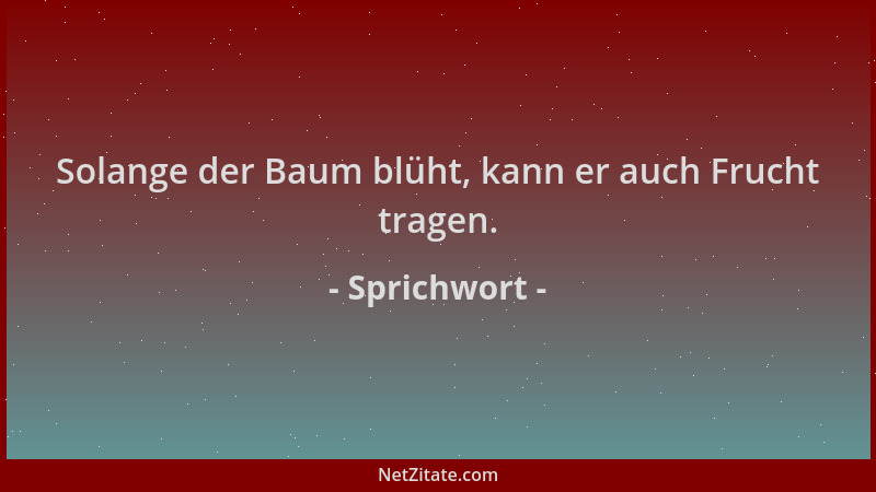 Sprichwort - Solange der Baum blüht, kann er auch Frucht tragen....