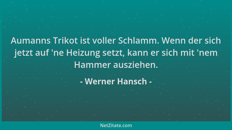 Werner Hansch - Aumanns Trikot ist voller Schlamm. Wenn der sich jetzt auf  'ne Heizung setzt, kann er sich mit  'nem Hammer...