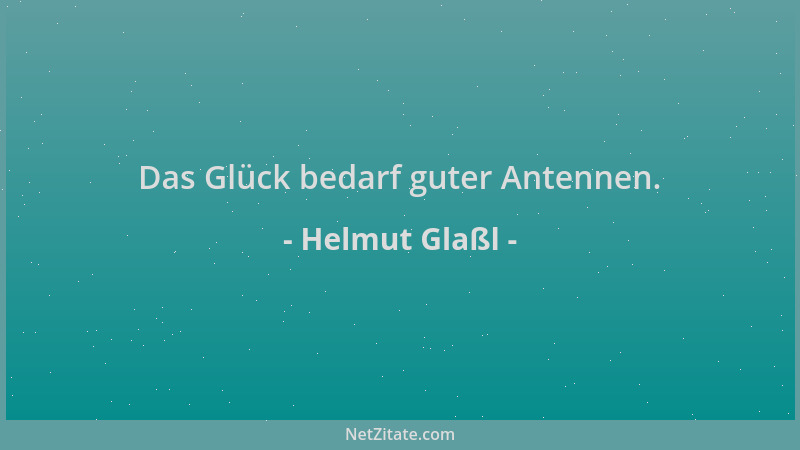 Helmut Glaßl - Das Glück bedarf guter Antennen....