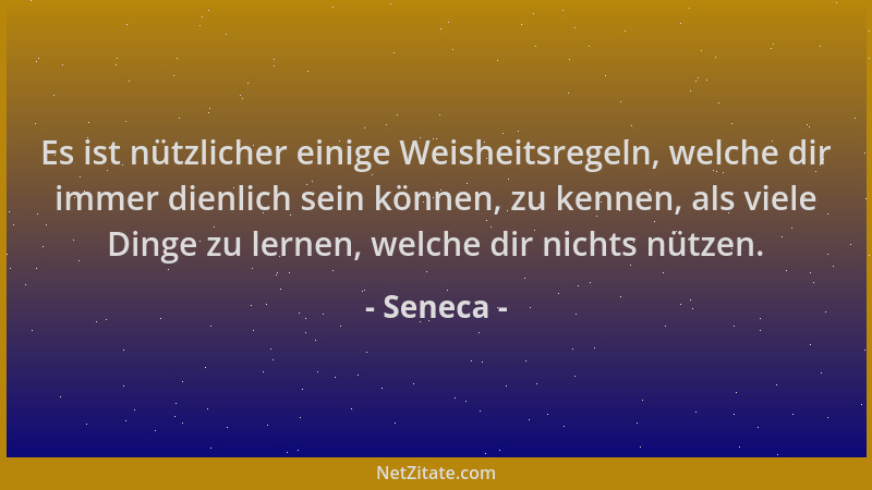 Seneca - Es ist nützlicher einige Weisheitsregeln, welche dir immer dienlich sein können, zu kennen, als viele Dinge zu ler...