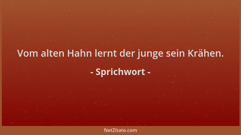 Sprichwort - Vom alten Hahn lernt der junge sein Krähen....