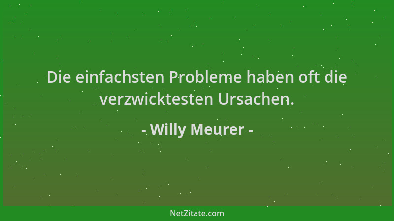 Willy Meurer - Die einfachsten Probleme haben oft die verzwicktesten Ursachen....