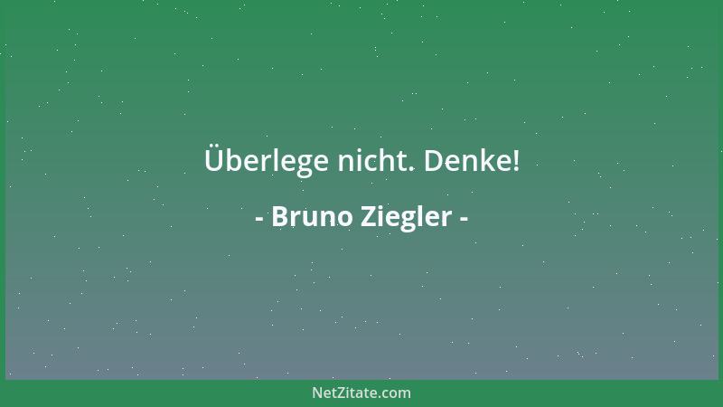 Bruno Ziegler - Überlege nicht. Denke!...