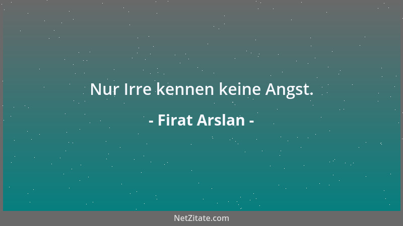 Firat Arslan - Nur Irre kennen keine Angst....