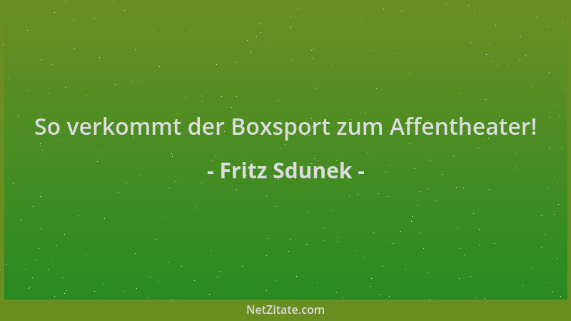 Fritz Sdunek - So verkommt der Boxsport zum Affentheater!...