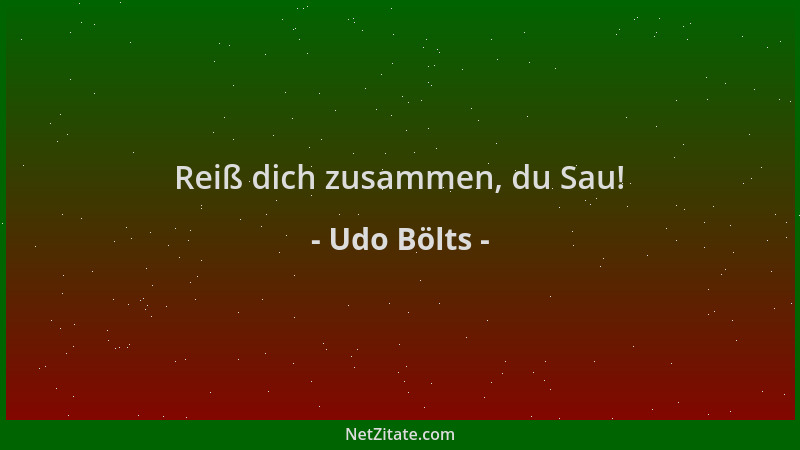 Udo Bölts - Reiß dich zusammen, du Sau!...
