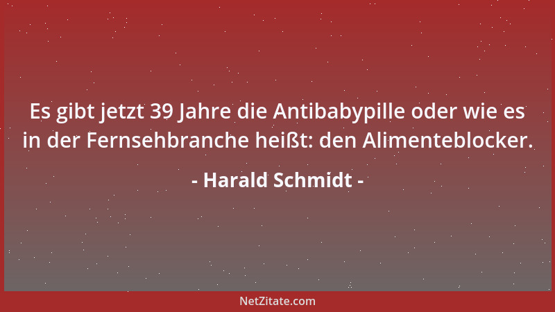 Harald Schmidt - Es gibt jetzt 39 Jahre die Antibabypille oder wie es in der Fernsehbranche heißt: den Alimenteblocker....