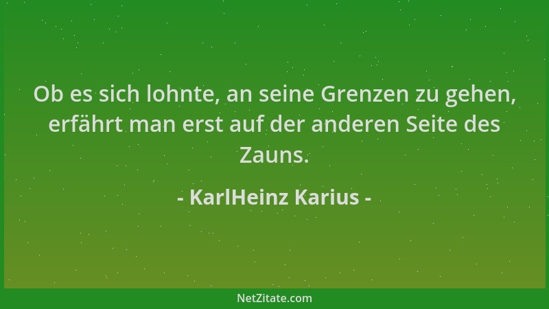 KarlHeinz Karius - Ob es sich lohnte, an seine Grenzen zu gehen, erfährt man erst auf der anderen Seite des Zauns....