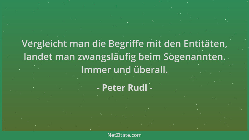 Peter Rudl - Vergleicht man die Begriffe mit den Entitäten, landet man zwangsläufig beim Sogenannten. Immer und überall....
