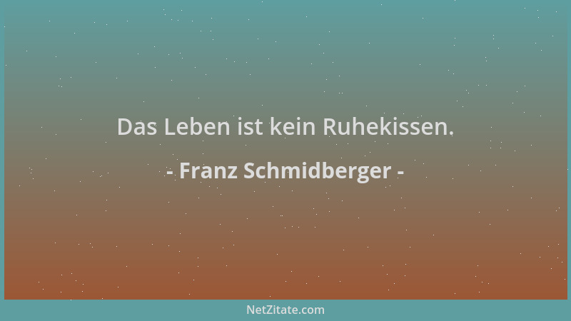 Franz Schmidberger - Das Leben ist kein Ruhekissen....