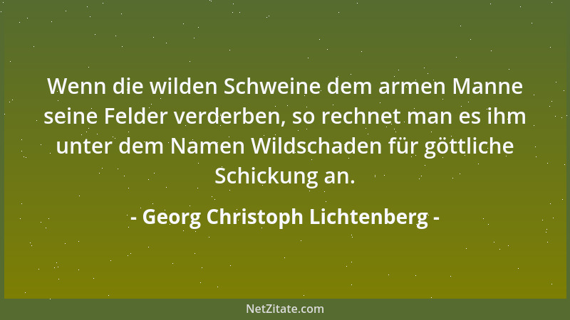 Georg Christoph Lichtenberg - Die barbarische Genauigkeit; winselnde Demut....