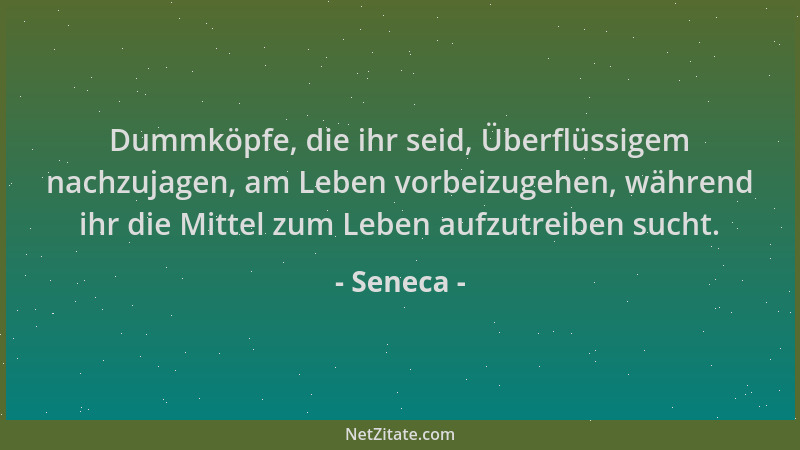 Seneca - Dummköpfe, die ihr seid, Überflüssigem nachzujagen, am Leben vorbeizugehen, während ihr die Mittel zum Leben aufzu...