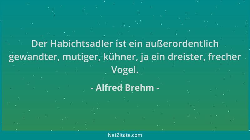 Alfred Brehm - Der Habichtsadler ist ein außerordentlich gewandter, mutiger, kühner, ja ein dreister, frecher Vogel....