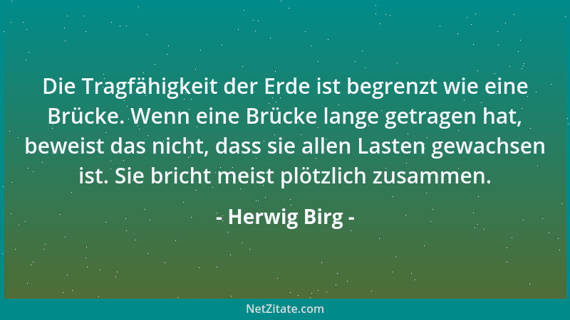 Herwig Birg - Die Tragfähigkeit der Erde ist begrenzt wie eine Brücke. Wenn eine Brücke lange getragen hat, beweist das nic...