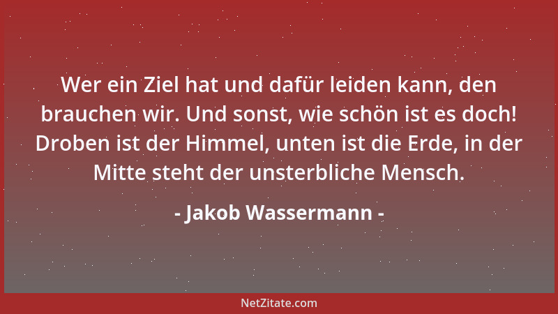 Jakob Wassermann - Wer ein Ziel hat und dafür leiden kann, den brauchen wir. Und sonst, wie schön ist es doch! Droben ist d...