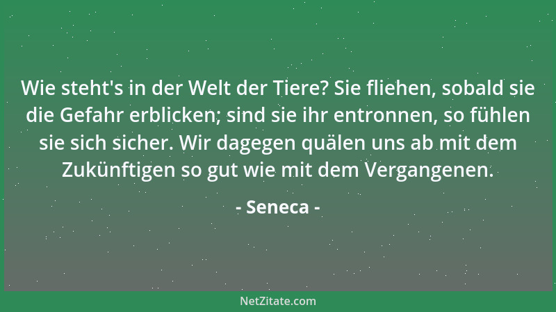 Seneca - Schimpflich ist es, nicht zu gehen, sondern sich treiben zu lassen und mitten im Wirbel der Dinge verblüfft zu fra...