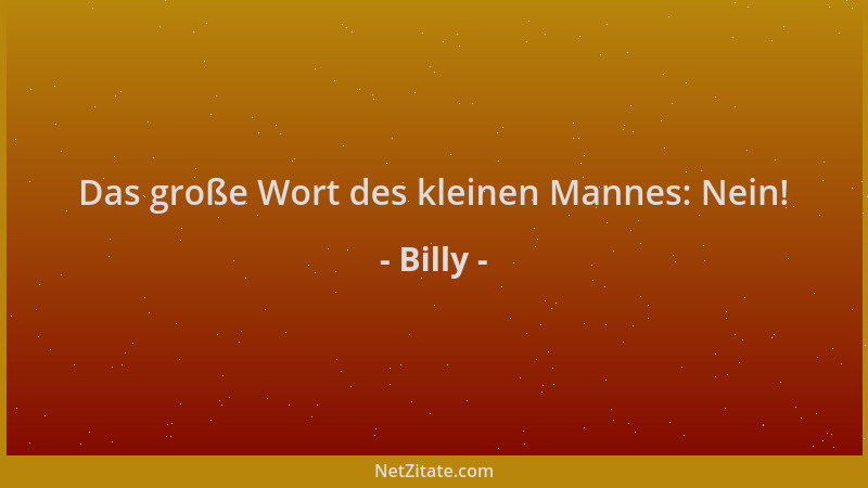Billy - Das große Wort des kleinen Mannes: Nein!...