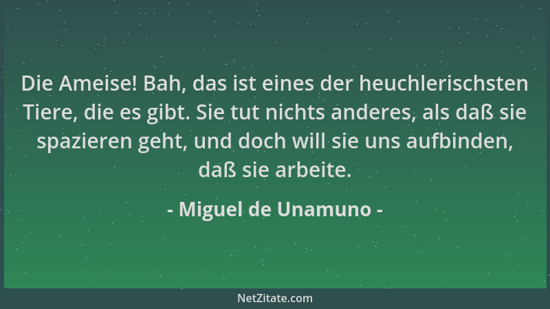 Miguel de Unamuno - Die Ameise! Bah, das ist eines der heuchlerischsten Tiere, die es gibt. Sie tut nichts anderes, als daß...