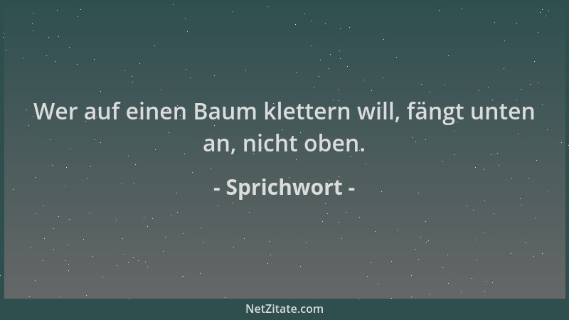 Sprichwort - Wer auf einen Baum klettern will, fängt unten an, nicht oben....