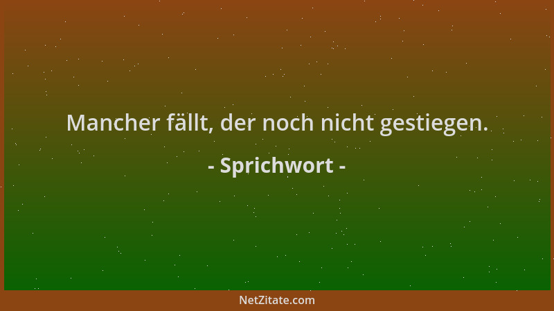 Sprichwort - Mancher fällt, der noch nicht gestiegen....