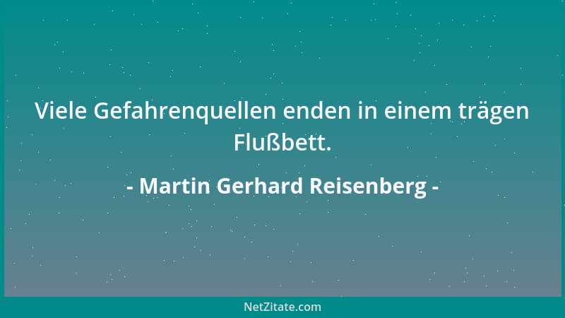 Martin Gerhard Reisenberg - Viele Gefahrenquellen enden in einem trägen Flußbett....