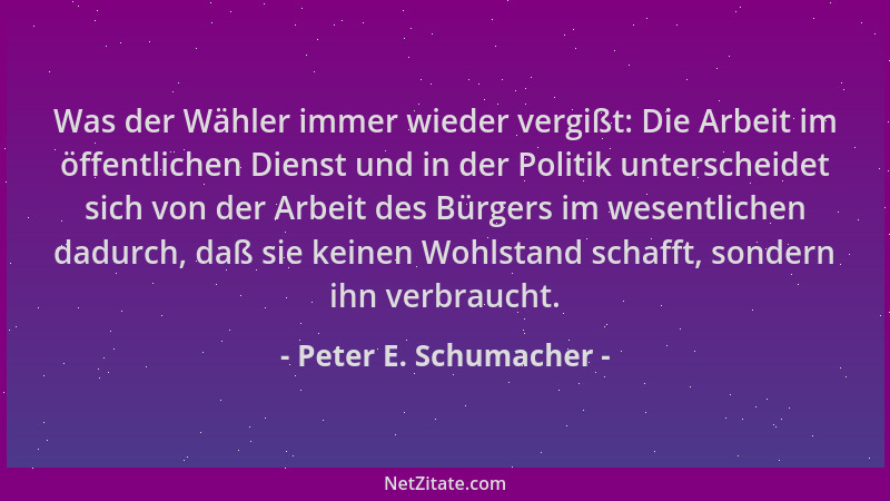 Peter E. Schumacher - Was der Wähler immer wieder vergißt: Die Arbeit im öffentlichen Dienst und in der Politik unterscheid...