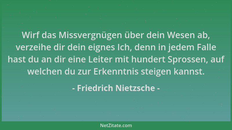 Friedrich Nietzsche - Wirf das Missvergnügen über dein Wesen ab, verzeihe dir dein eignes Ich, denn in jedem Falle hast du...
