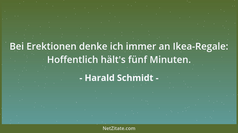 Harald Schmidt - Bei Erektionen denke ich immer an Ikea-Regale: Hoffentlich hält 's fünf Minuten....