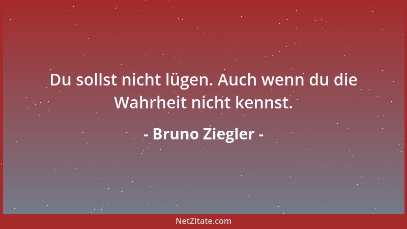 Bruno Ziegler - Du sollst nicht lügen. Auch wenn du die Wahrheit nicht kennst....