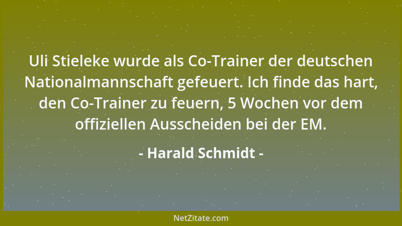 Harald Schmidt - Uli Stieleke wurde als Co-Trainer der deutschen Nationalmannschaft gefeuert. Ich finde das hart, den Co-Tr...