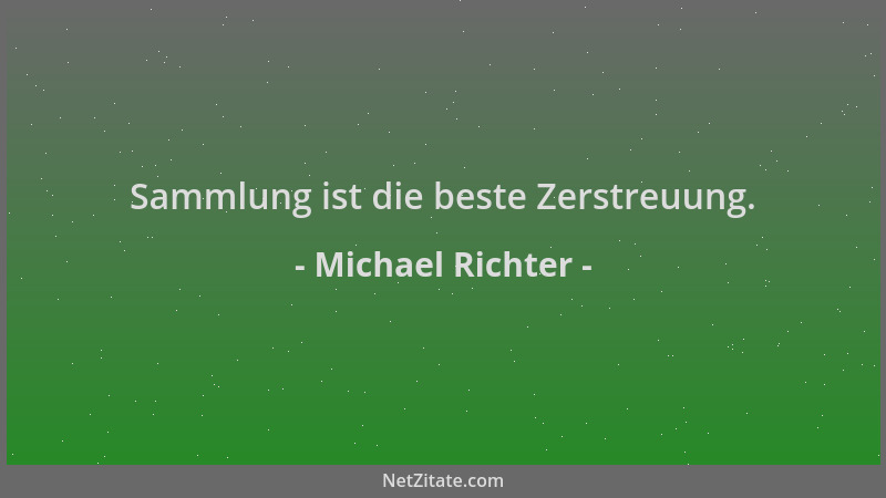 Michael Richter - Sammlung ist die beste Zerstreuung....