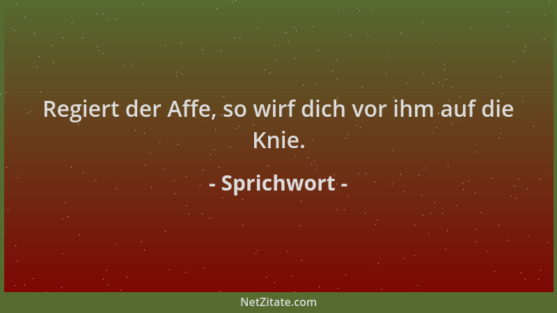 Sprichwort - Regiert der Affe, so wirf dich vor ihm auf die Knie....