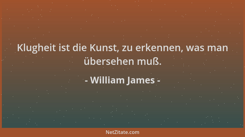 William James - Klugheit ist die Kunst, zu erkennen, was man übersehen muß....