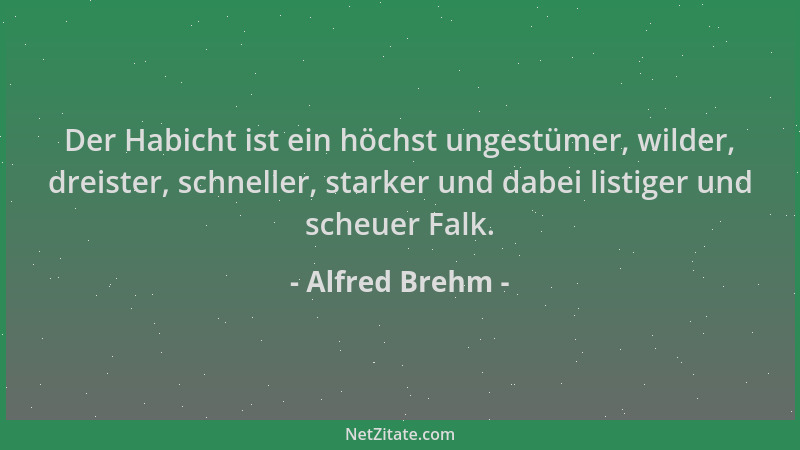 Alfred Brehm - Der Habicht ist ein höchst ungestümer, wilder, dreister, schneller, starker und dabei listiger und scheuer F...