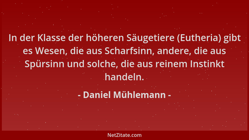 Daniel Mühlemann - In der Klasse der höheren Säugetiere (Eutheria) gibt es Wesen, die aus Scharfsinn, andere, die aus Spürs...