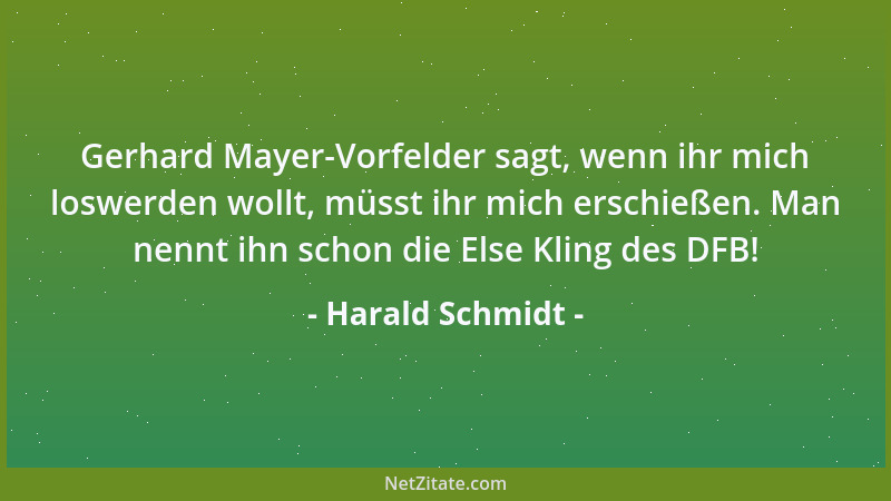 Harald Schmidt - Gerhard Mayer-Vorfelder sagt, wenn ihr mich loswerden wollt, müsst ihr mich erschießen. Man nennt ihn scho...