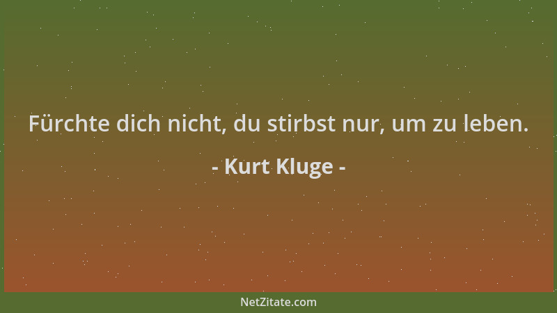 Kurt Kluge - Fürchte dich nicht, du stirbst nur, um zu leben....