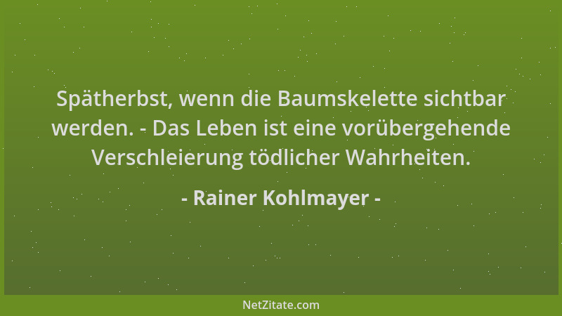 Rainer Kohlmayer - Spätherbst, wenn die Baumskelette sichtbar werden. - Das Leben ist eine vorübergehende Verschleierung tö...