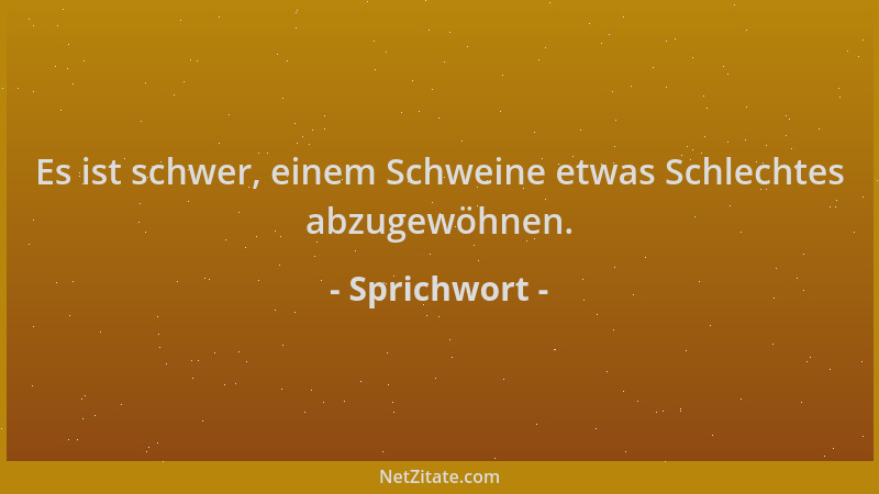 Sprichwort - Es ist schwer, einem Schweine etwas Schlechtes abzugewöhnen....