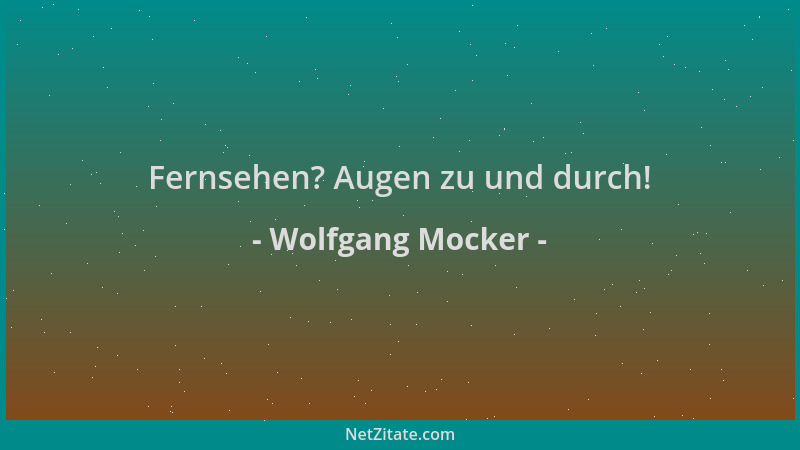 Wolfgang Mocker - Fernsehen? Augen zu und durch!...