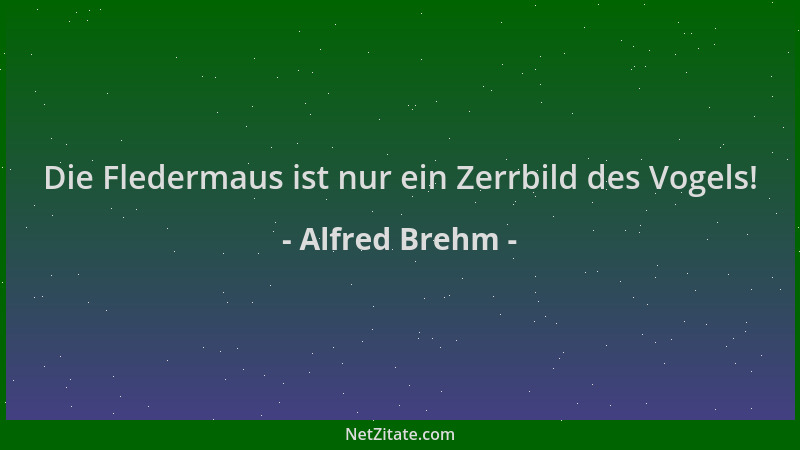 Alfred Brehm - Die Fledermaus ist nur ein Zerrbild des Vogels!...