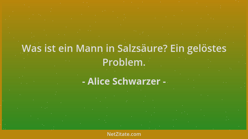 Alice Schwarzer - Was ist ein Mann in Salzsäure? Ein gelöstes Problem....